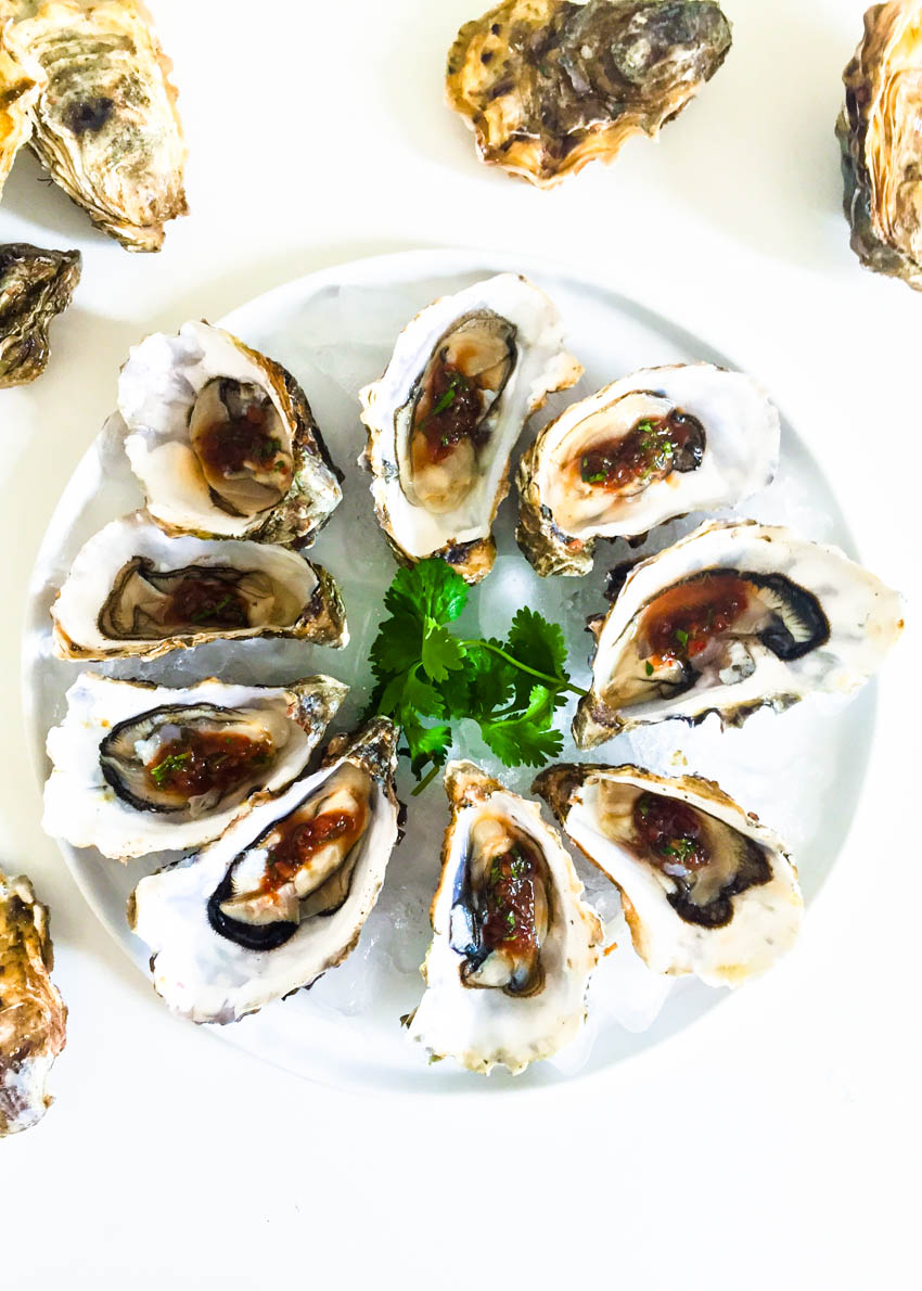 Oysters (3)